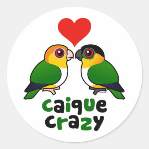 Sticker Rond Caique Crazy