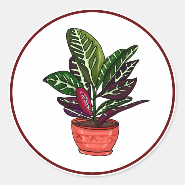 Sticker Rond Calathea Hand Drake Houseplant Art (Devant)