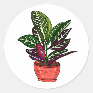 Sticker Rond Calathea Hand Drake Houseplant Art