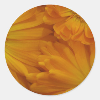 Sticker Rond Calendula