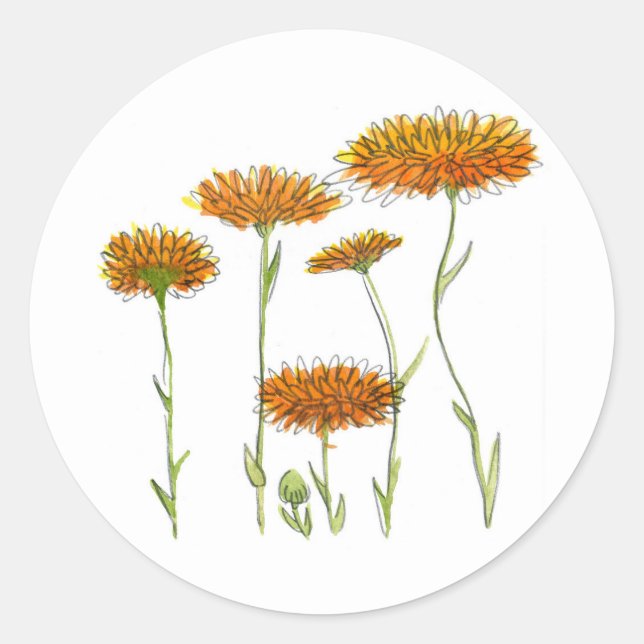 Sticker Rond Calendulaire (Devant)
