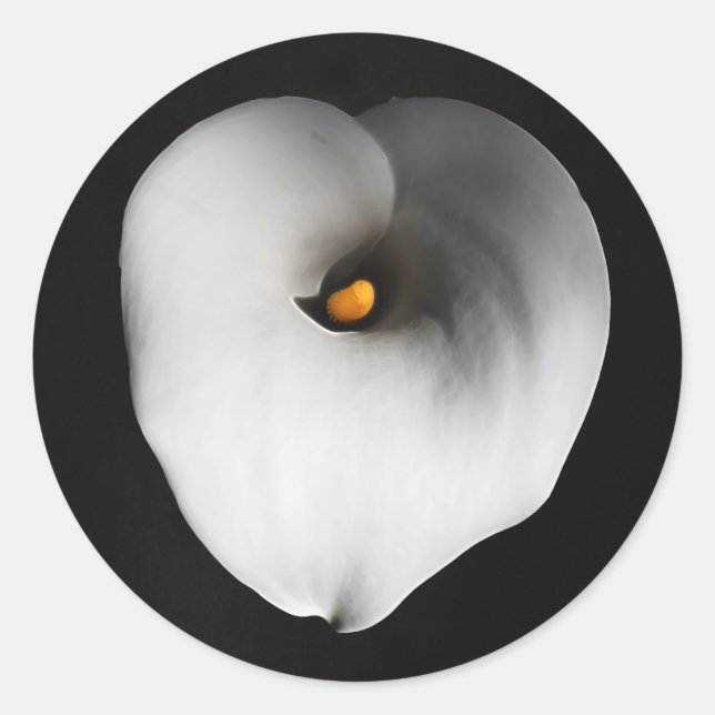 Sticker Rond calla blanche (Devant)