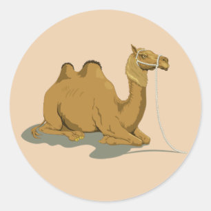Sticker Rond Camel Animé