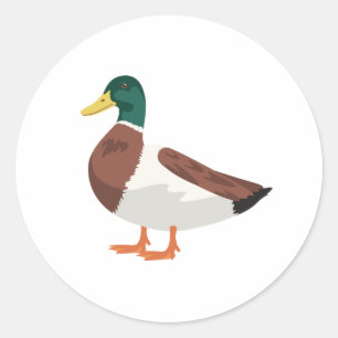 Sticker Rond Canard de Mallard