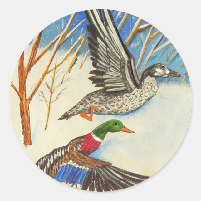 Sticker Rond Canards (Devant)