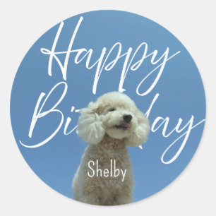 Sticker Rond Caniche Personnalisé Joyeux Anniversaire Ciel Bleu