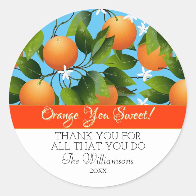 Sticker Rond Canne à fruits d'agrumes d'oranges| Merci (Devant)