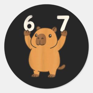 Sticker Rond Capybara 67 Mème Six Sept Drôle