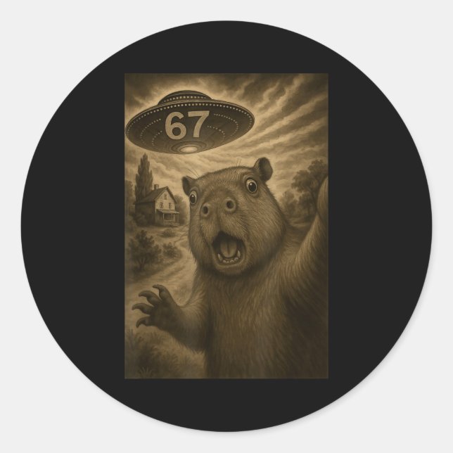 Sticker Rond Capybara Selfie 67 Meme Six Seven Funny Ufo  (Devant)