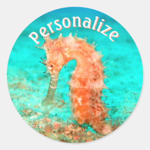 Sticker Rond Caraibe tropicale caraïbe turquoise orange