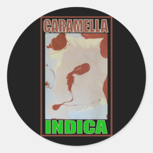 STICKER ROND CARAMELLA INDICA