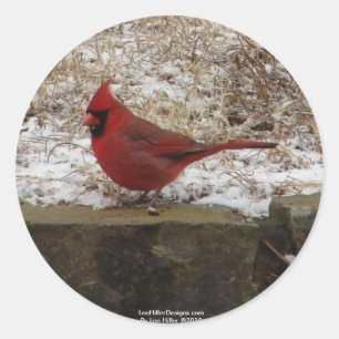 Sticker Rond Cardinal Hot Springs Nat. Cadeaux AR Park Mountain