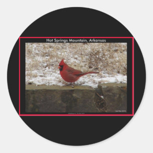 Sticker Rond Cardinal Hot Springs Nat. Cadeaux AR Park Mountain