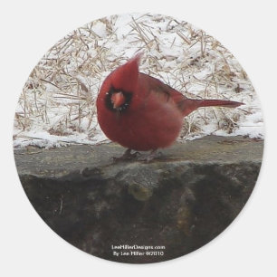 Sticker Rond Cardinal Hot Springs Nat. Park Mt AR Cadeaux Vêtem