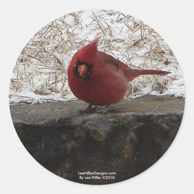 Sticker Rond Cardinal Hot Springs Nat. Park Mt AR Cadeaux Vêtem (Devant)