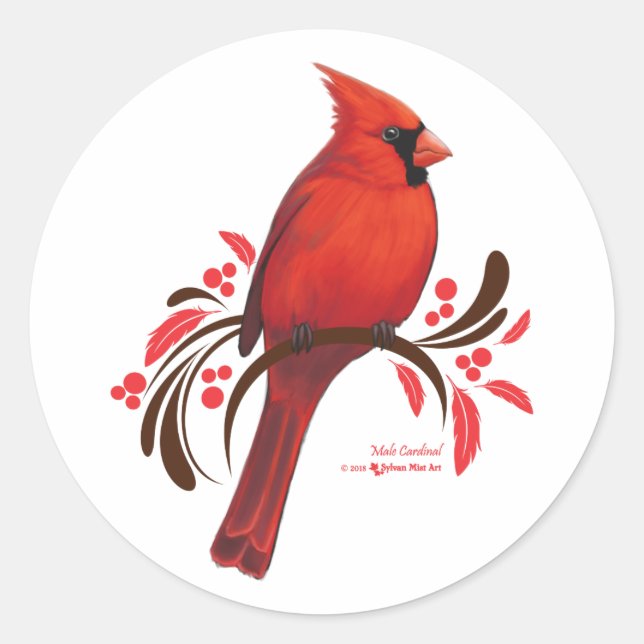 Sticker Rond Cardinal masculin (Devant)