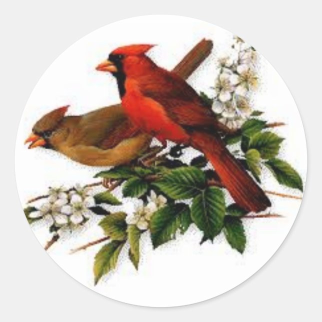 Sticker Rond Cardinal masculin et féminin sur une branche en fl (Devant)