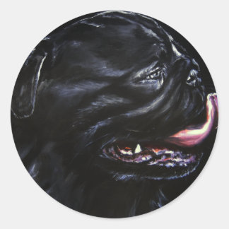 Sticker Rond Carlin