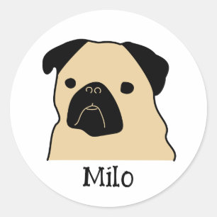 Sticker Rond Carlin de dessin