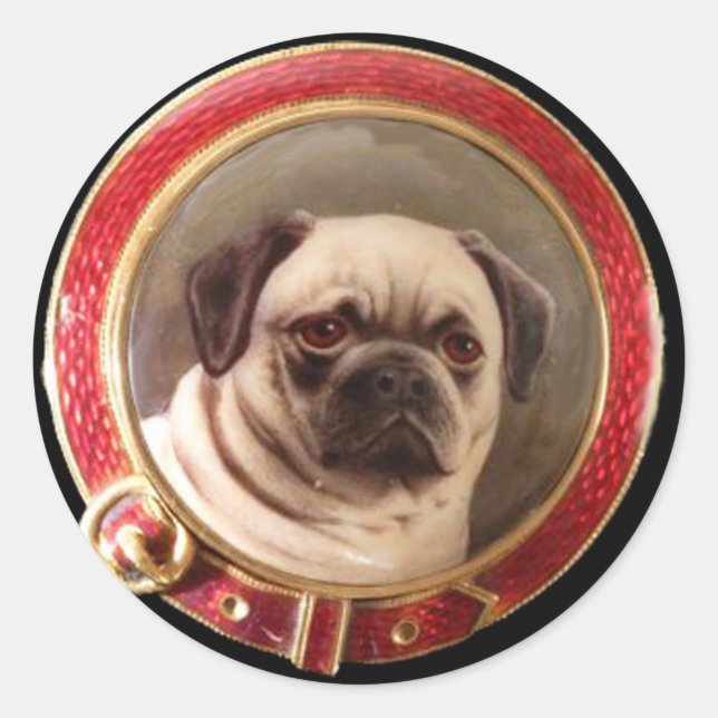 STICKER ROND CARLIN DE PORTRAITS DE CHIEN DE MINIATURE VICTORIE (Devant)