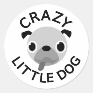 Sticker Rond Carlin fou petit chien