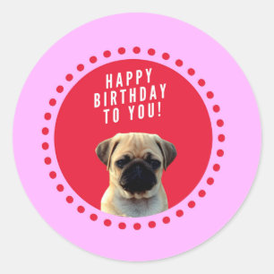 Sticker Rond Carlin mignon Chien Chien Heureux Anniversaire Chi