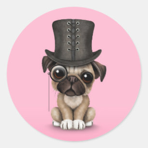 Sticker Rond Carlin mignon Chiot avec Monocle et chapeau supéri