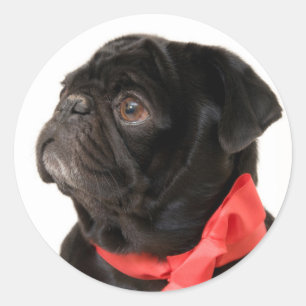 Sticker Rond Carlin noir avec arc rouge