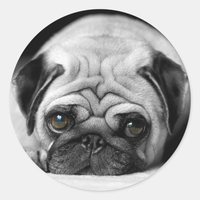 Sticker Rond Carlin triste (Devant)