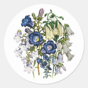 Sticker Rond Carnaval des fleurs