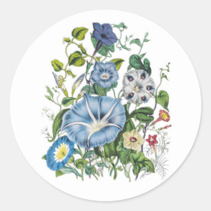 Sticker Rond Carnaval des fleurs