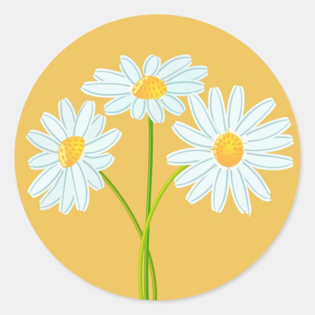 Sticker Rond Carte blanche Fleur de marguerite orange (Devant)