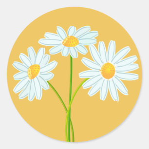 Sticker Rond Carte blanche Fleur de marguerite orange