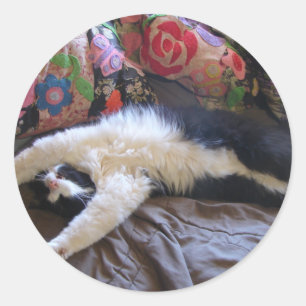 Sticker Rond Carte Chat Tuxedo Mignon faisant une Vague Mexicai
