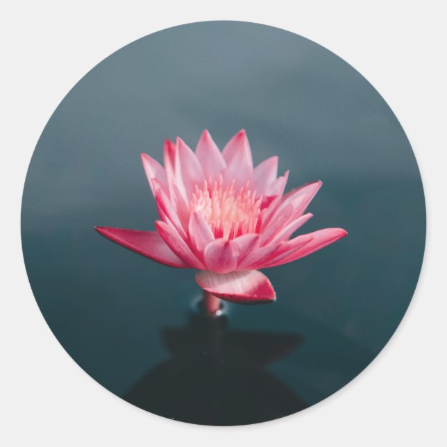 Sticker Rond Carte de voeux rose (Devant)