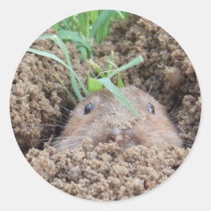 Sticker Rond Carte postale Vole Creature