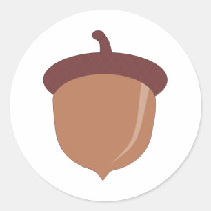 Sticker Rond Carton mignon Autumn Acorn