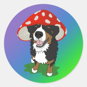 Sticker Rond Casquette de champignon rouge chien de montagne be