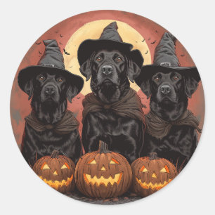 Sticker Rond Casquettes de sorcière pour chiens de trieuse d'Ha