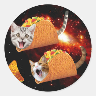 Sticker Rond Cats inside space tacos
