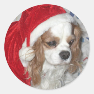 STICKER ROND CAVALIER KING CHARLES ESPAGNOL CHIEN AVEC SANTA HA