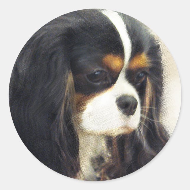Sticker Rond Cavalier King Charles Spaniel (Devant)