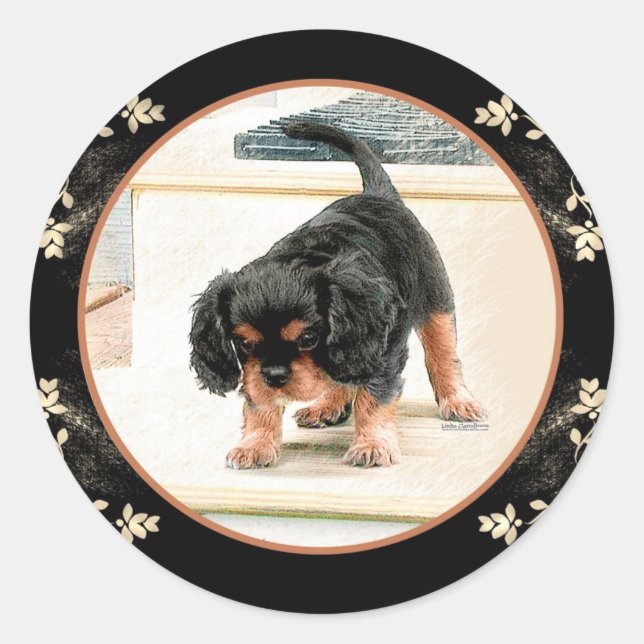 Sticker Rond Cavalier King Charles Spaniel (Devant)