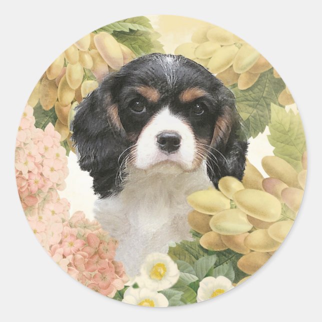 Sticker Rond Cavalier King Charles Spaniel (Devant)