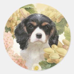 Sticker Rond Cavalier King Charles Spaniel
