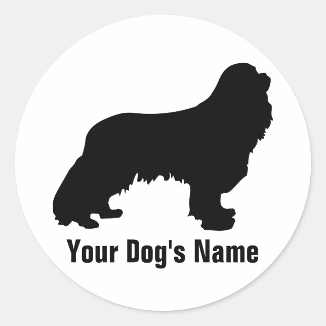 Sticker Rond Cavalier King Charles Spaniel キ ャ voir リ (Devant)