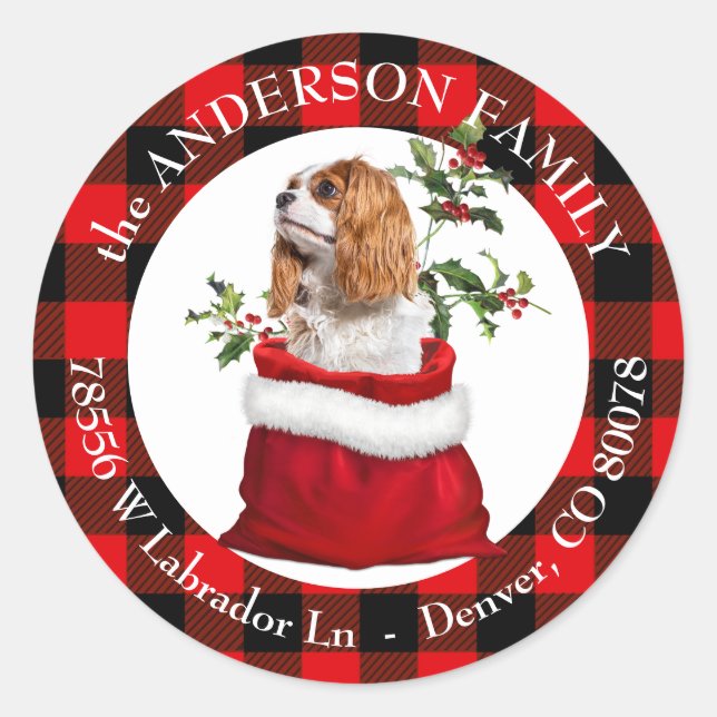 Sticker Rond Cavalier King Charles Spaniel Dog Plaid Frame (Devant)