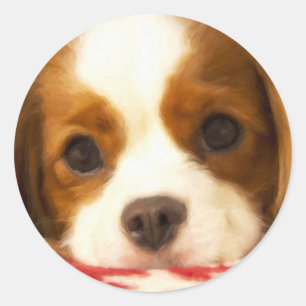 Sticker Rond Cavalier King Charles Spaniel flocon