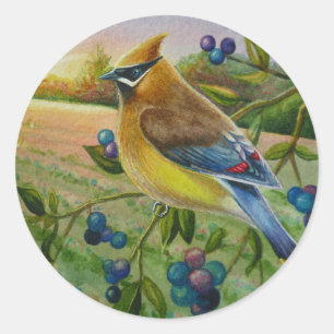 Sticker Rond Cèdre cire Oiseau Blueberry Farm Aquarelle Art