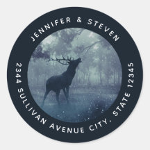 Cerf avec Antlers dans une forêt ombragée - Adress